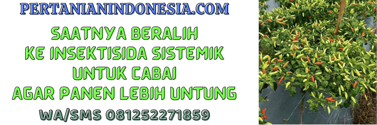 jual,murah,terjangkau,toko pertanian terdekat,pertanian indonesia